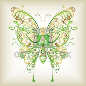 Бабочки 32